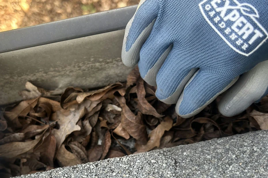 Gutter Cleaning Meggett