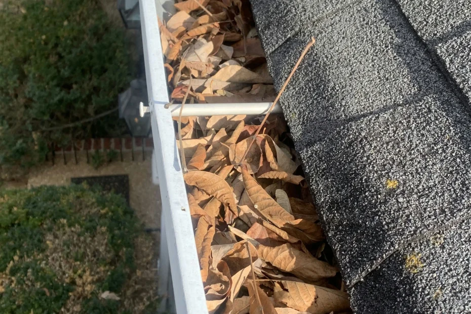 Gutter Cleaning Meggett