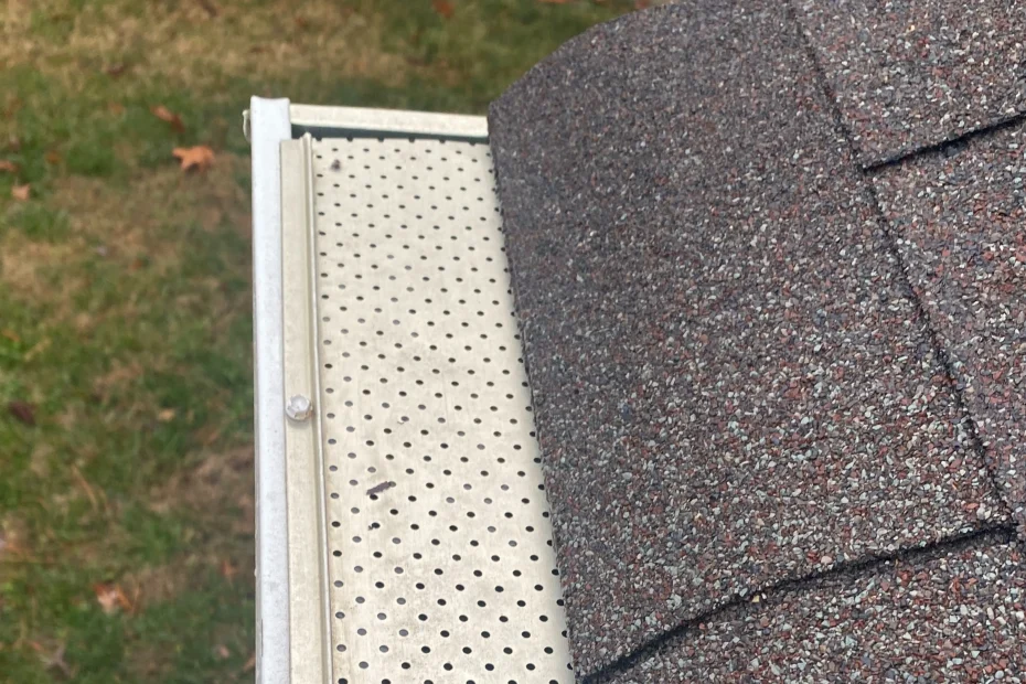 Gutter Cleaning Meggett