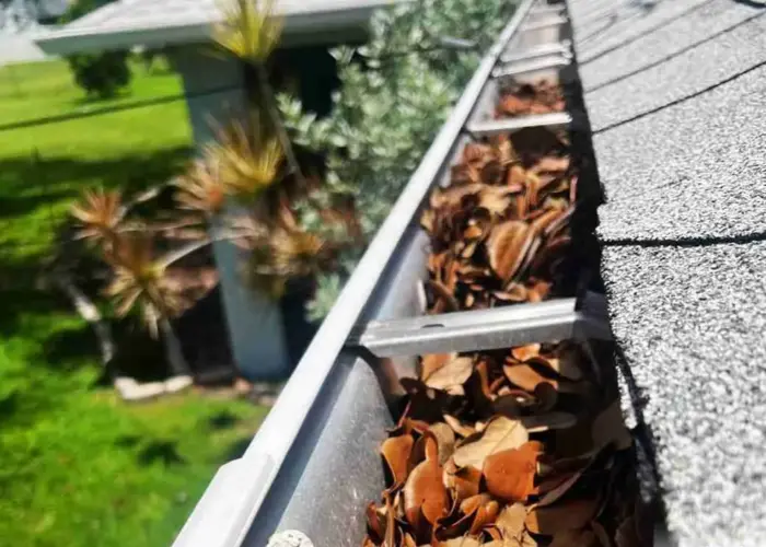 Gutter Cleaning Meggett home page